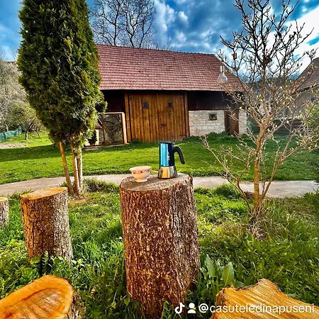 Casuta Cu Livada Holiday home Bica